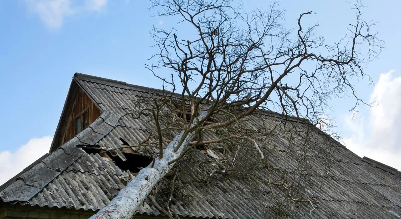 Storm Damage Repair