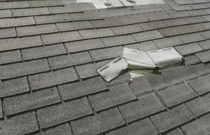 Wind Damage